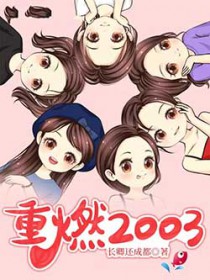 重燃2003全文阅读