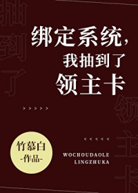绑定系统,抽到了领主卡全文阅读